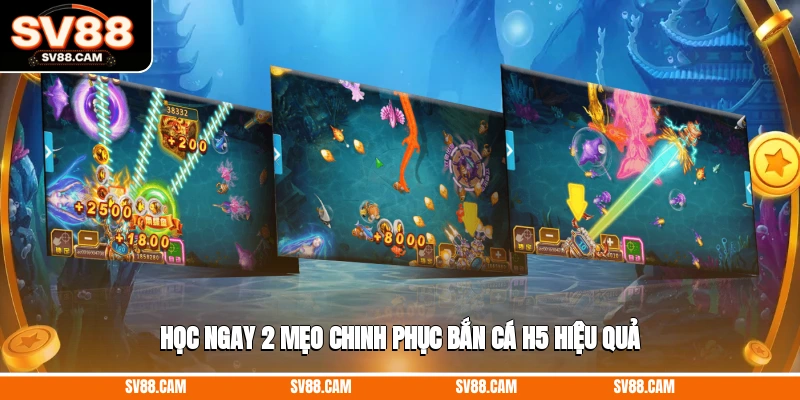 Học ngay 2 mẹo chinh phục bắn cá H5 hiệu quả bắn cá H5