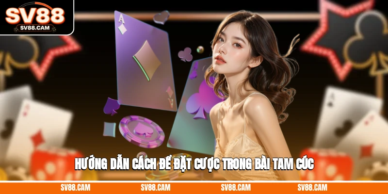 Hướng dẫn cách để đặt cược trong bài Tam Cúc Bài Tam Cúc