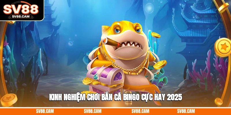Kinh nghiệm chơi bắn cá bingo cực hay 2025 bắn cá bingo